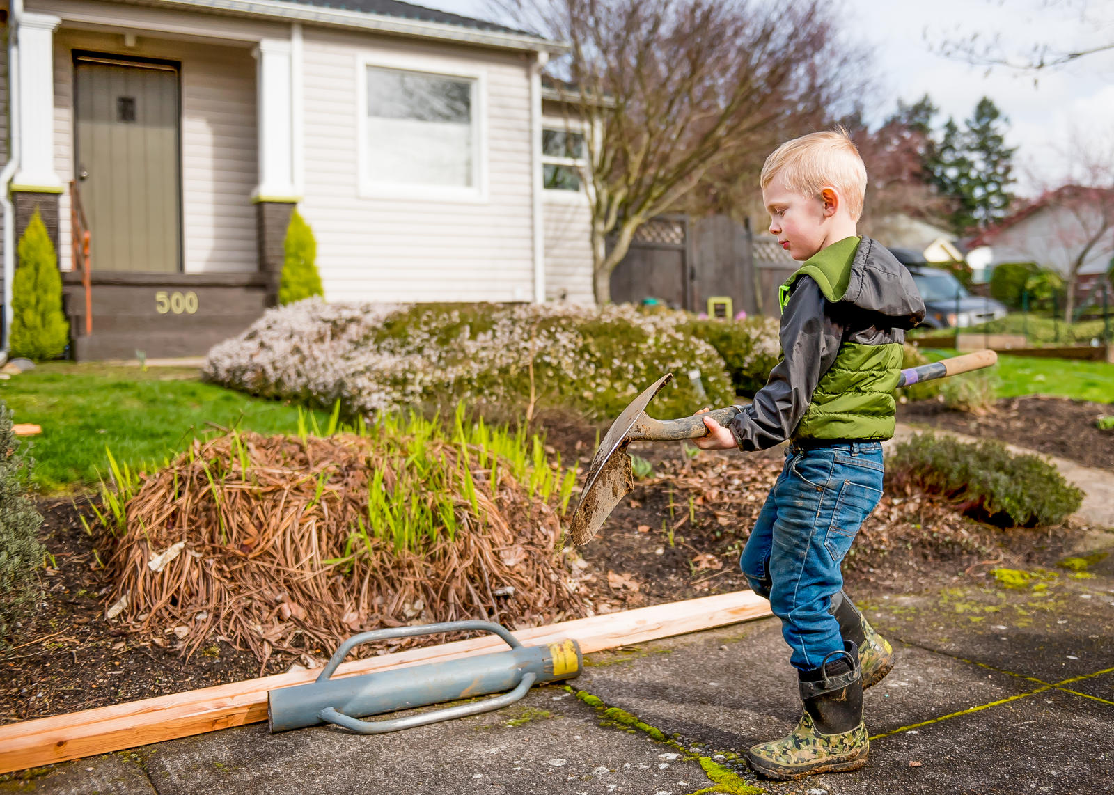 Tree Planting Workshop The Intertwine